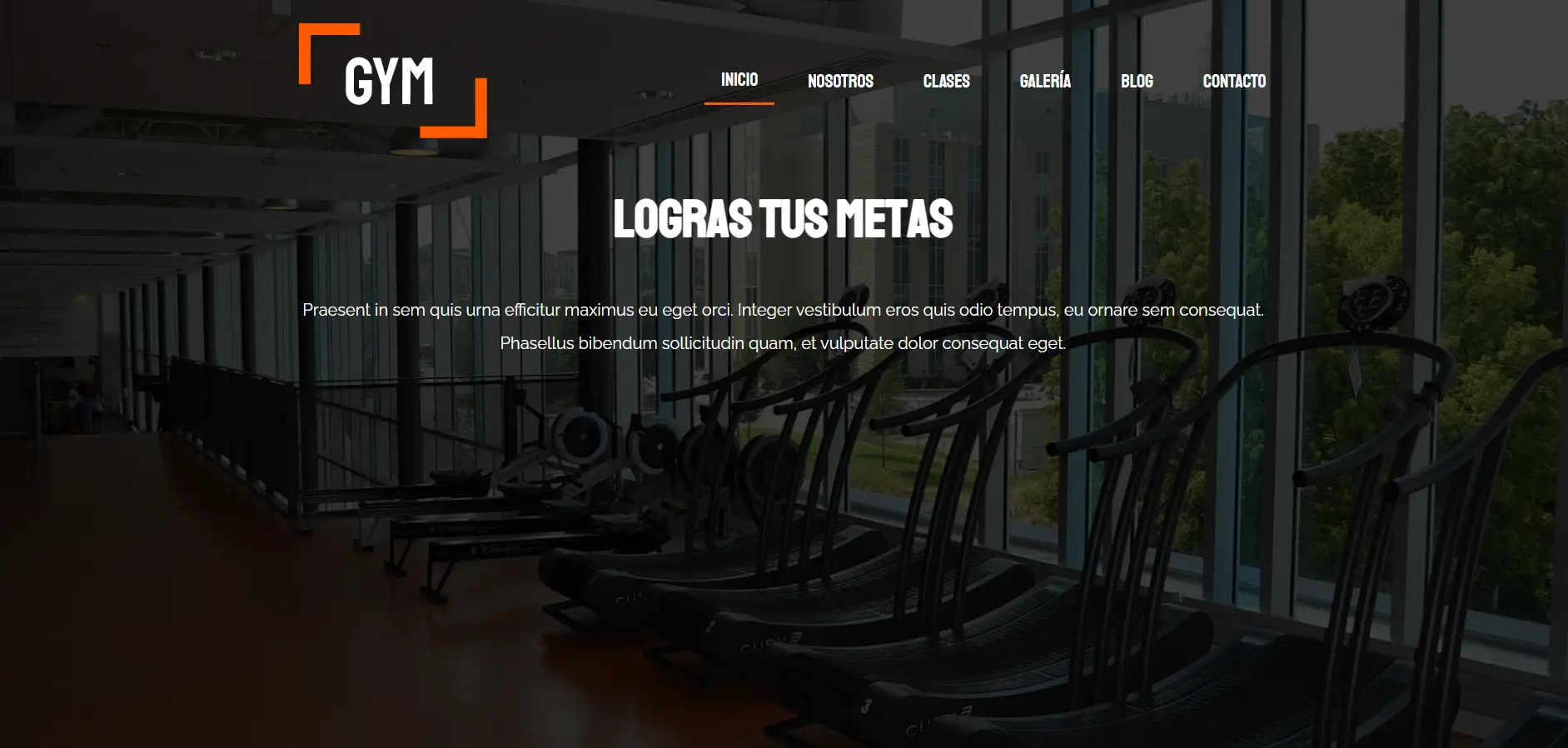 Imagen Pagina web: Gym Fitness